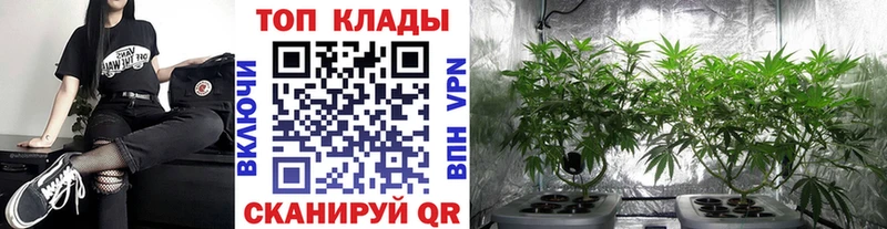 Где найти наркотики Высоцк Канабис  КОКАИН  ГАШ  Меф мяу мяу 