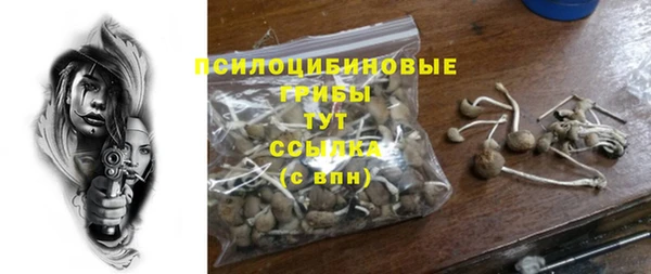 спиды Богданович