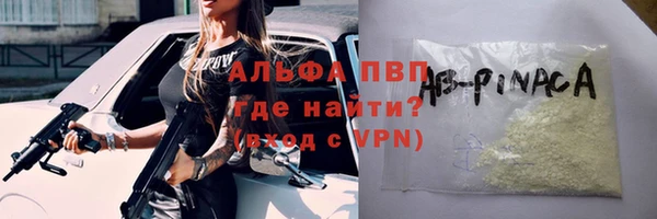 спиды Богданович