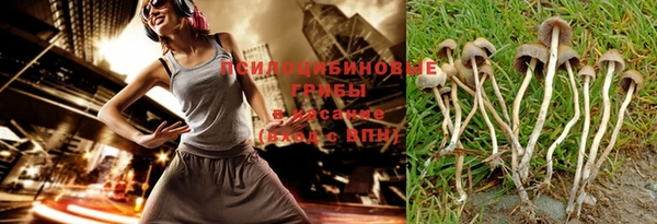 ГАЛЛЮЦИНОГЕННЫЕ ГРИБЫ Богородицк
