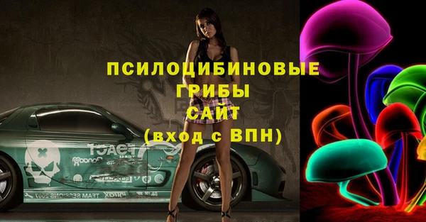 спиды Богданович