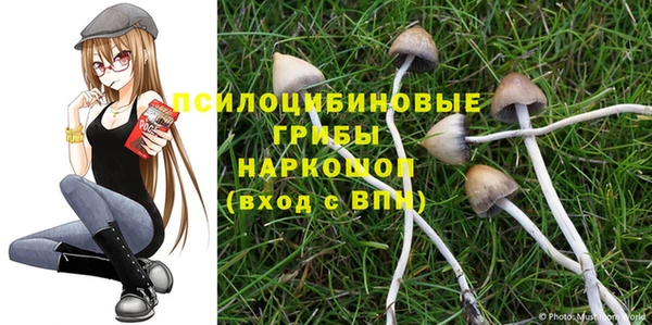 спиды Богданович