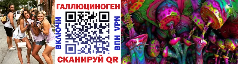 блэк спрут ТОР Высоцк Псилоцибиновые грибы Psilocybe